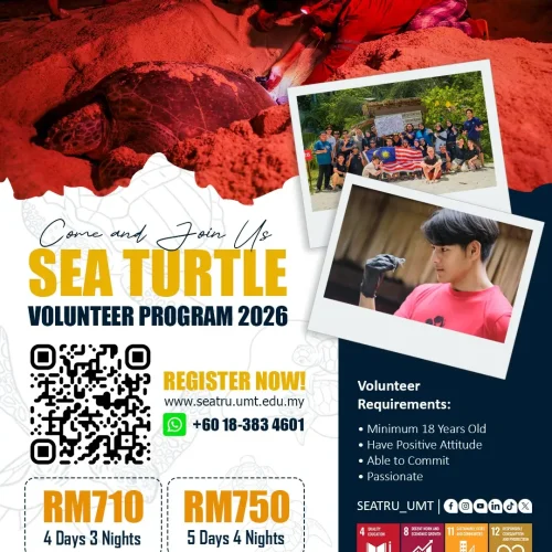 WhatsApp Image 2026-02-05 at 13.49.44